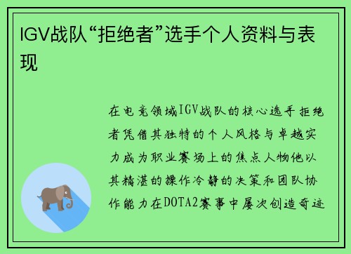 IGV战队“拒绝者”选手个人资料与表现