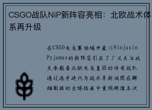 CSGO战队NiP新阵容亮相：北欧战术体系再升级